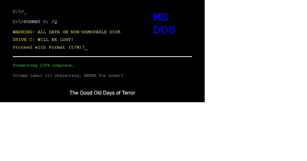 MS-DOS Formatting Screen with White Text on Black